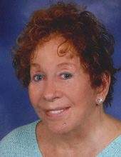 gayle novak