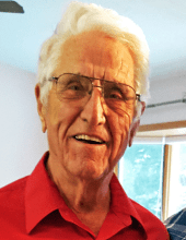 howard nessel