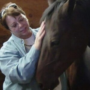susan hanenburg Gallery