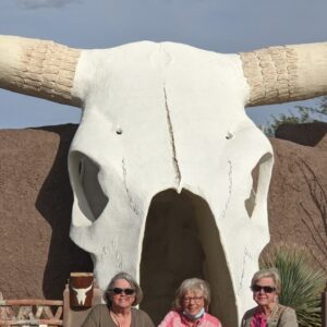 phyllis westberg Gallery